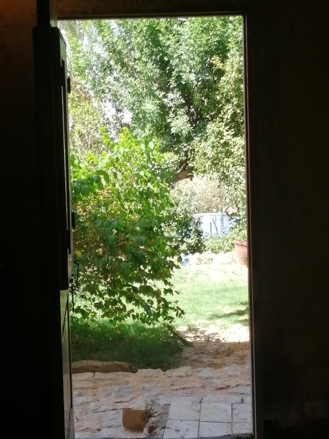 Studio In Byoum By Qaroun Lake In Fayoum Qaryat at Ta'mir as Siyahiyah Luaran gambar